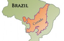 coffee4missions_brazil_cerrado_map