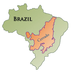 coffee4missions_brazil_cerrado_map